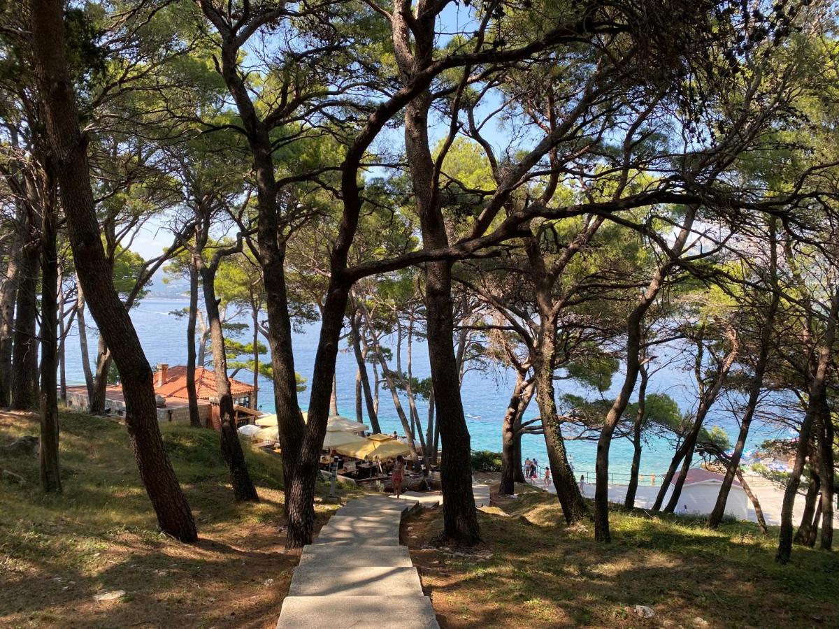 Piscitelli Holiday home *